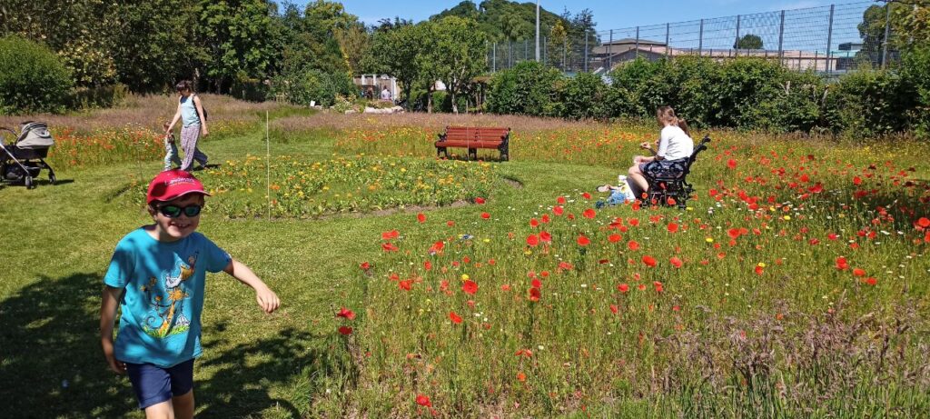 Oliver, a young boy with a visual impairment, walks through the wild flowers at Inverness Botanical Gardens. It's a nice warm, sunny day.