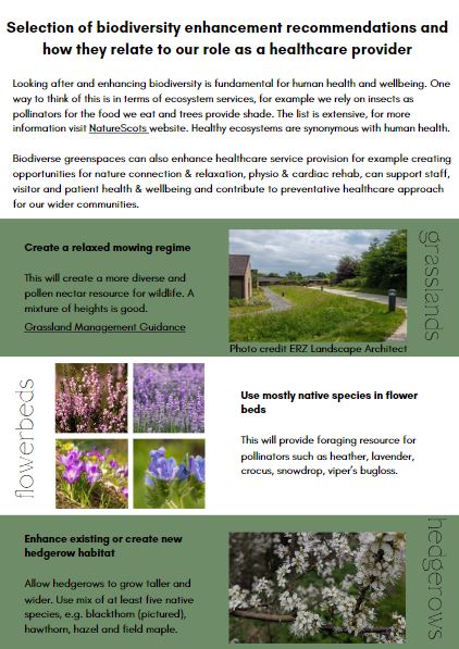 This image presents biodiversity enhancement recommendations aimed at healthcare providers. It showcases three key strategies: creating a relaxed mowing regime to promote diverse grassland habitats, utilizing native plant species like lavender in flowerbeds to support pollinators, and enhancing hedgerows by allowing them to grow taller and wider, incorporating a mix of native species. The image includes photos of grassland, lavender, and blackthorn hedgerows.
