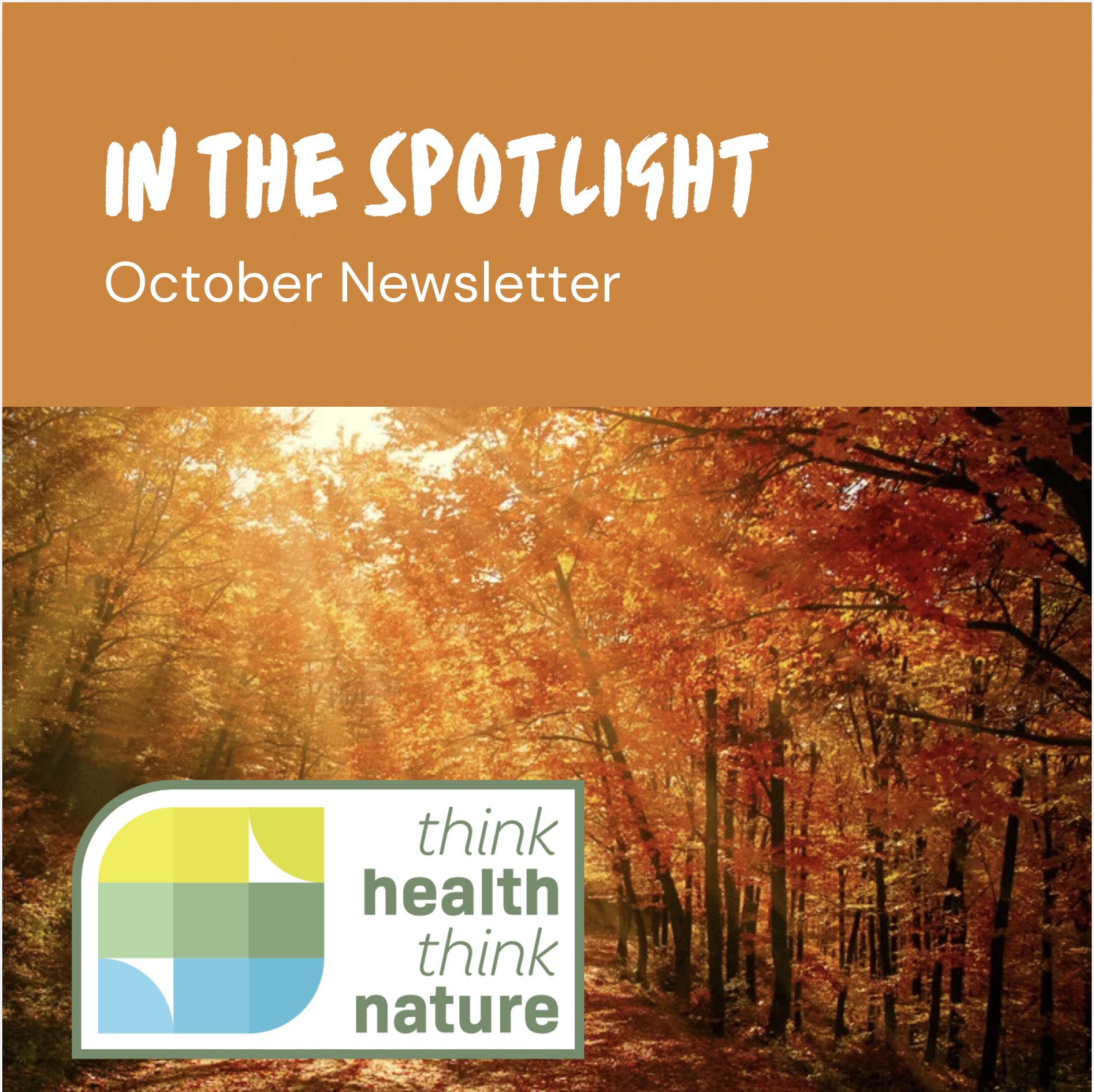 Newsletter October 2024