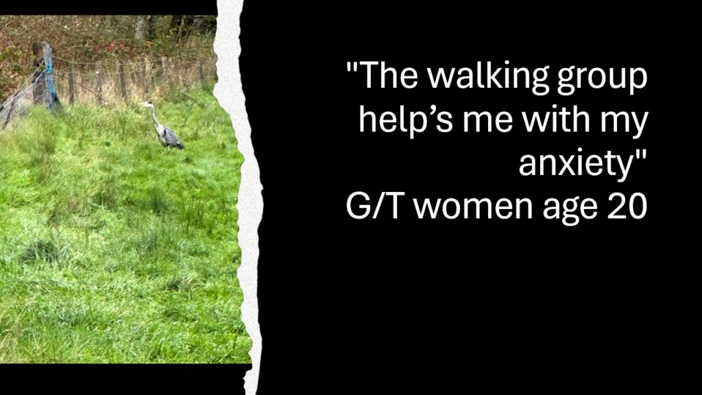 On the left side of the image is a heron standing near a fence in a grass field. On the right is white text on a black background stating "The walking group helps me with my anxiety" Gypsy Traveller woman age 20.