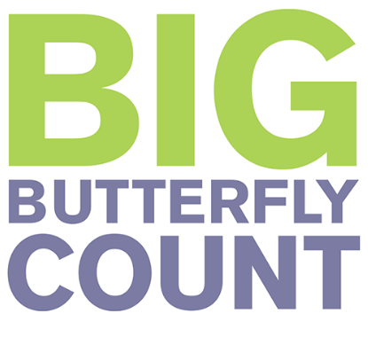 Big Butterfly Count Logo