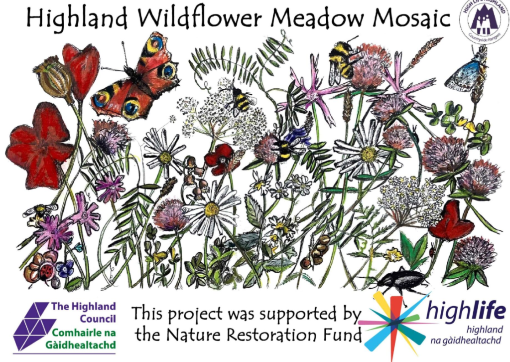 A bright colourful image of hand-drawn wildflower meadows and butterflies and insects. The text reads Highland Wildflower Meadow Mosaic and the Highland council logo, Highlife Highland logo's are present and there is text at the bottom of the image that says, 'this project was supported by the Nature Restoration Fund'