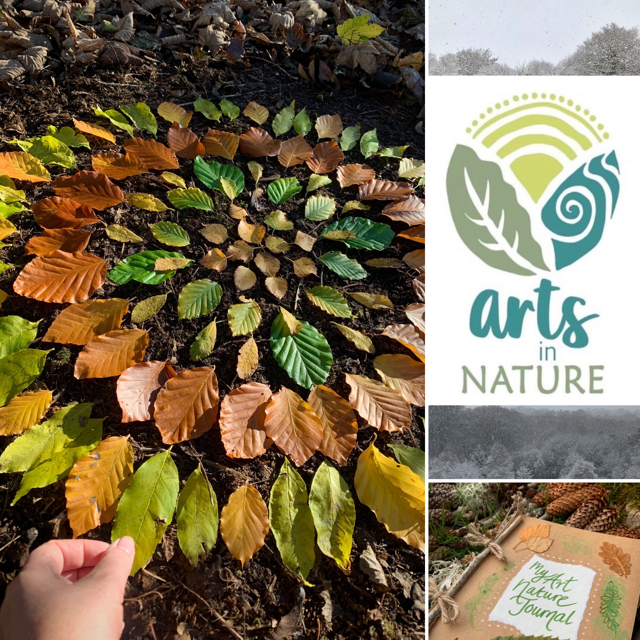 Arts in Nature: How partnership, creativity and nature can break down barriers