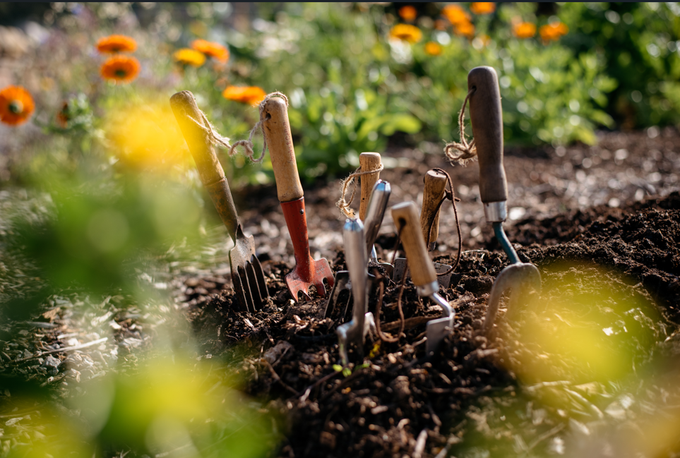 several hand garden tools are standing in the soil, with orange and red flowers in the background