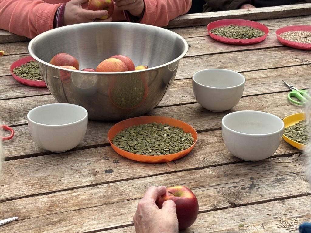 A table with a big bowl full of apples and several smaller dishes containing bird seed. Somebody sits on the far side in a peach long sleeved top, you can only see their hands and arms. A hand on the nearside holds an apple.