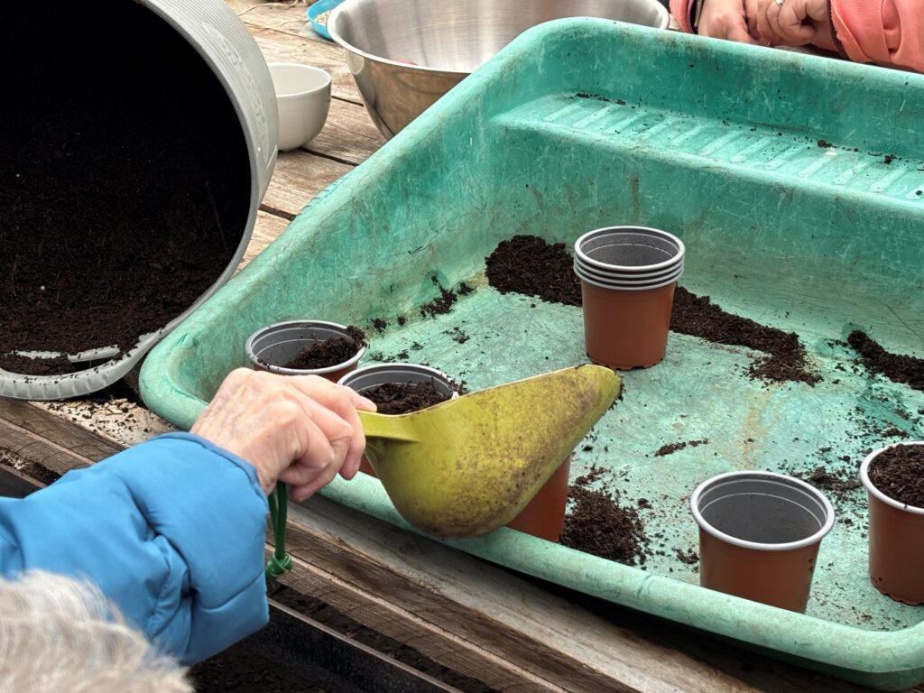 An older hand reaches into a table top gardening tray with a hand held shovel of soil to fill a small plastic plant pot.