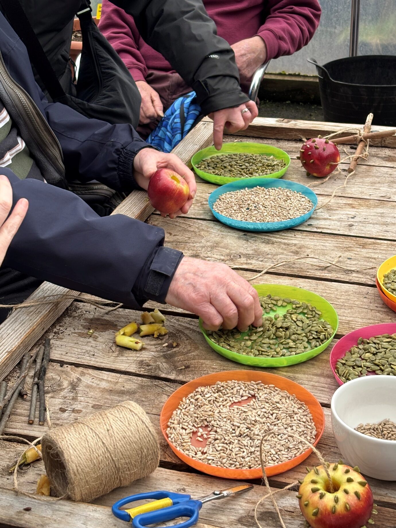 Growing Together: Inclusive Gardening at Inverness Botanic Gardens