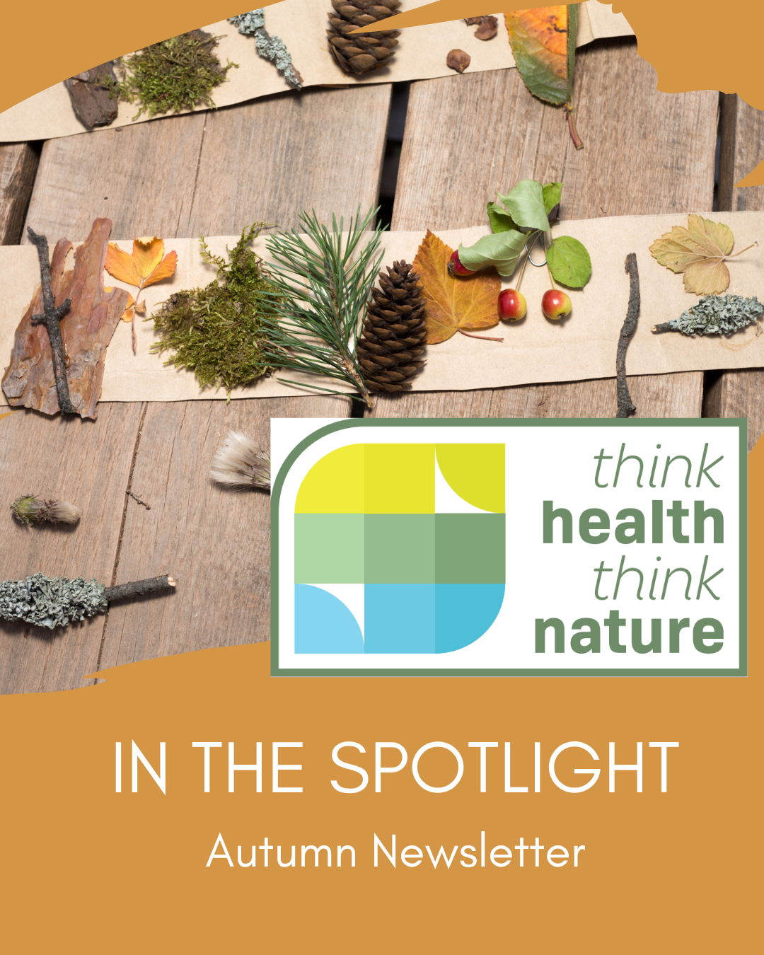 Autumn Newsletter is live!